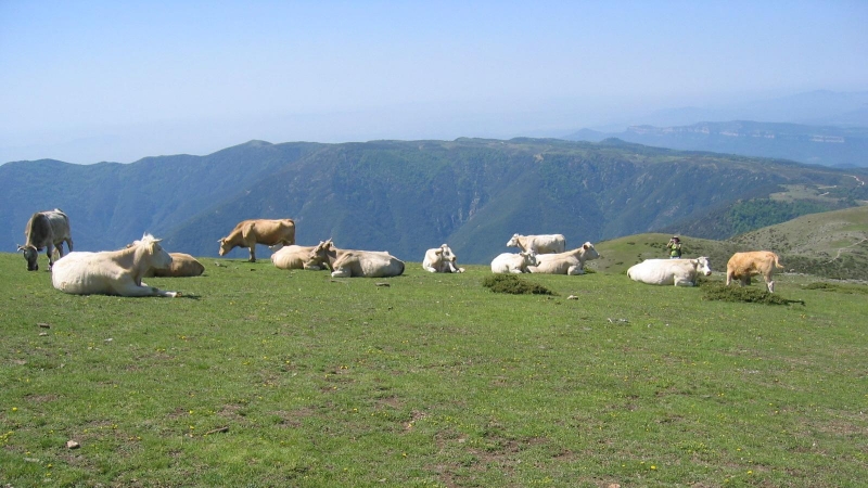 El cim de la muntanya del Matagalls, en una imatge d'arxiu