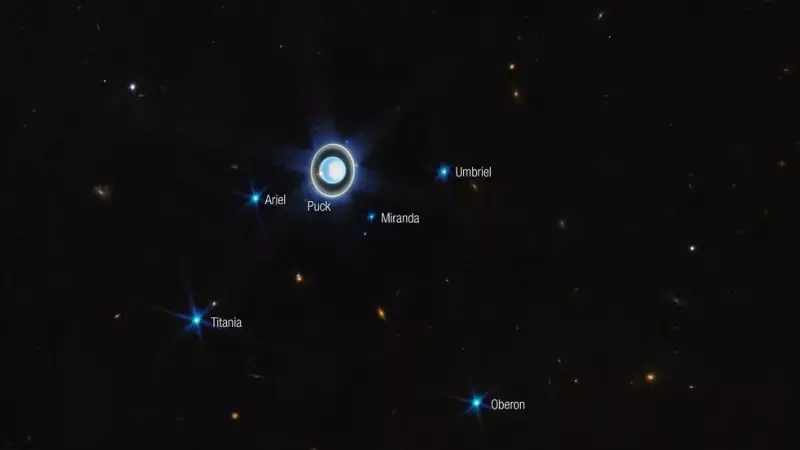 Imagen de Urano y seis de sus 27 lunas conocidas, captada por el telescopio Webb.