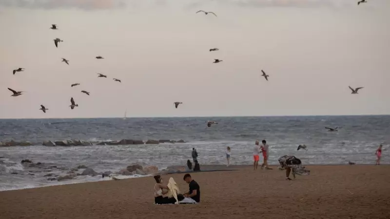 Foto de archivo de la playa de la Barceloneta (Barcelona) durante el verano de 2021.