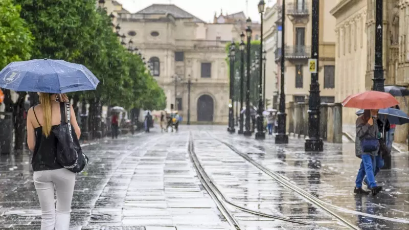 Varias personas se protegen de la lluvia el pasado jueves en la Avenida de La Constitución de Sevilla.