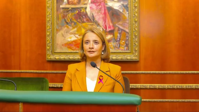 María García, portavoz de Cs en Marbella, en un pleno del Ayuntamiento durante esta legislatura.