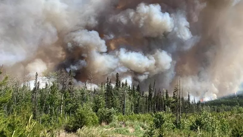 Incendios forestales en el río Kiskatinauw oeste, Canadá.