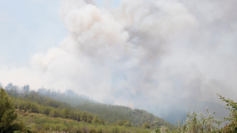 26-6-2023 Imatge de l'incendi forestal del Pont d'Armentera