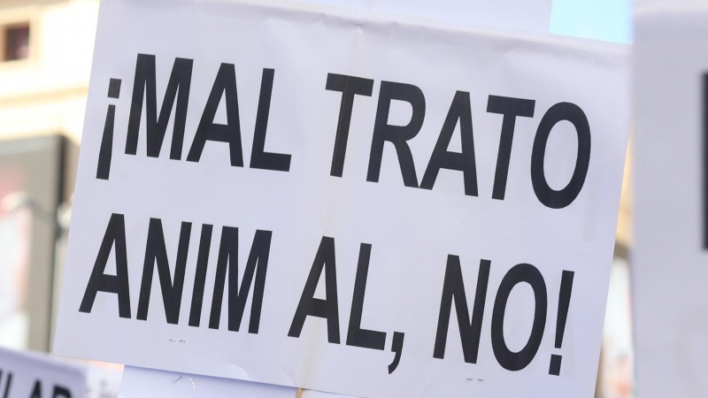 07/07/2023 Una pancarta de 'Maltrato Animal No'