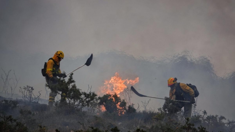 Incendios forestales a causa del cambio climático