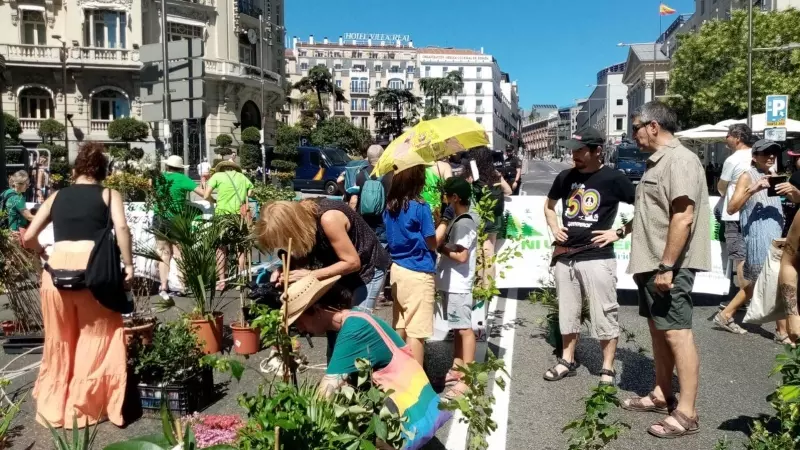 Colectivos en lucha por la crisis climática organizan una manifestación de plantas en Madrid