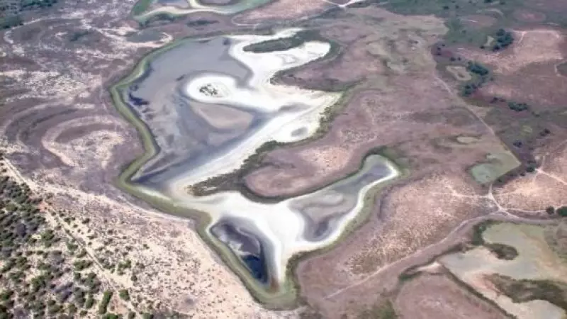 Vista aérea de la laguna de Santa Olalla en agosto de 2022.