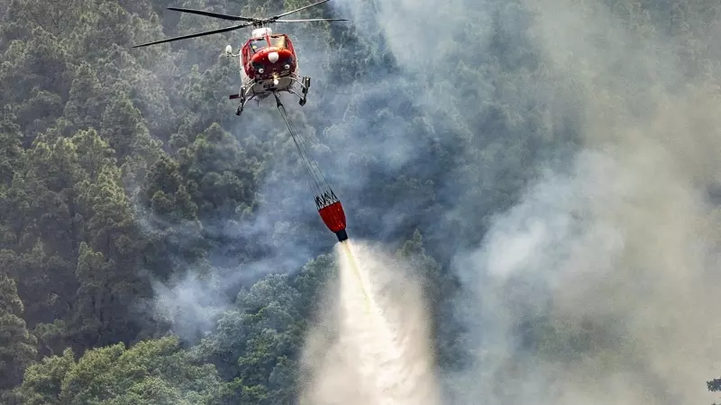 Un hidroavión trabaja en la extinción del incendio forestal en Tenerife, a 19 de agosto de 2023.