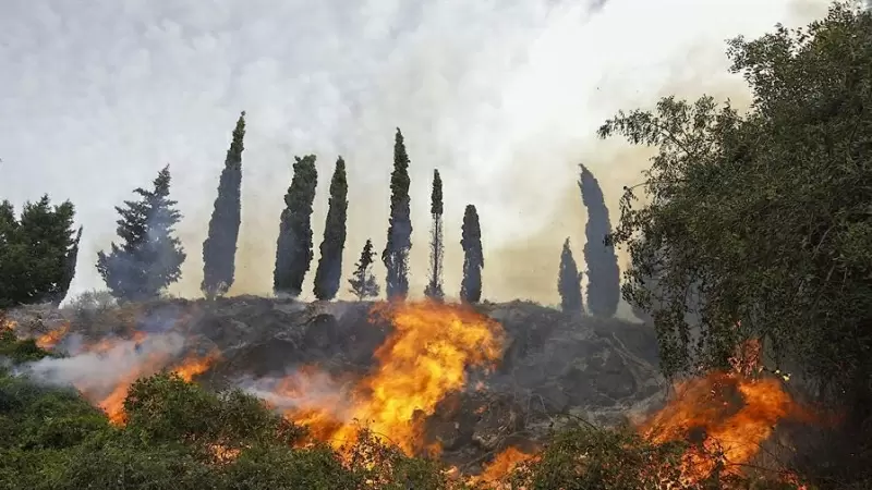Imagen del incendio de Montitxelvo, en su tercer día activo, a 4 de noviembre de 2023.- EFE