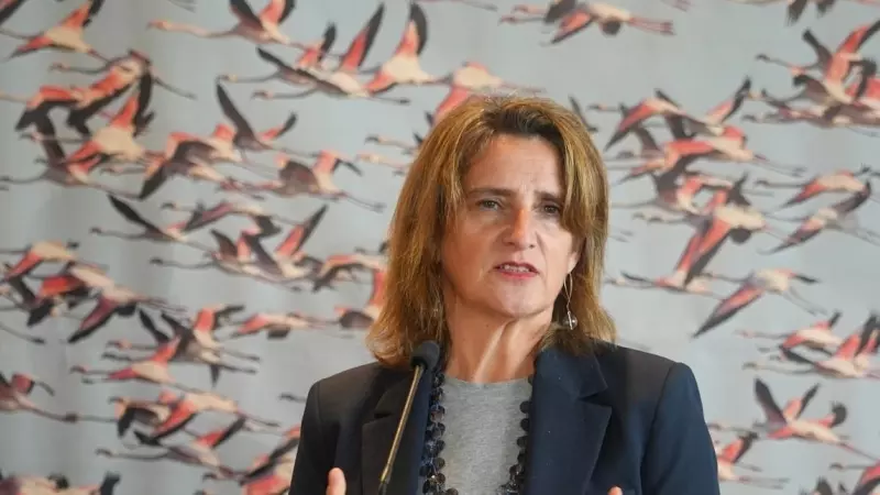 La ministra de Transición Ecológica y Reto Demográfico, Teresa Ribera, durante la rueda de prensa por el acuerdo del protocolo del Parque Nacional de Doñana, a 27 de noviembre de 2023, en Huelva.