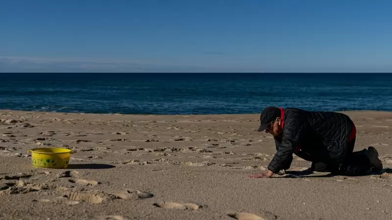 8/1/24 Un hombre recoge pellets el pasado domingo en una playa de A Coruña.