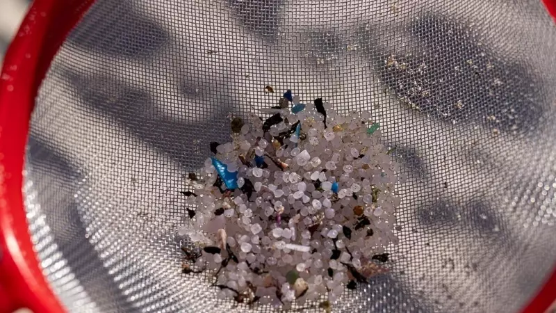 Imagen de los pellets siendo recogidos por voluntarios, en A Coruña, a 7 de enero de 2024.