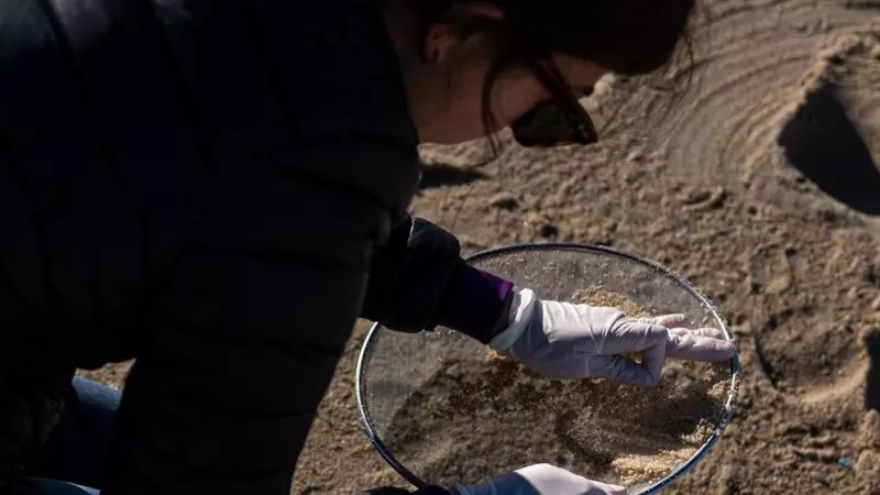 Voluntarios hacen una recogida de pellets de la arena, Galicia, a 7 de enero de 2024.