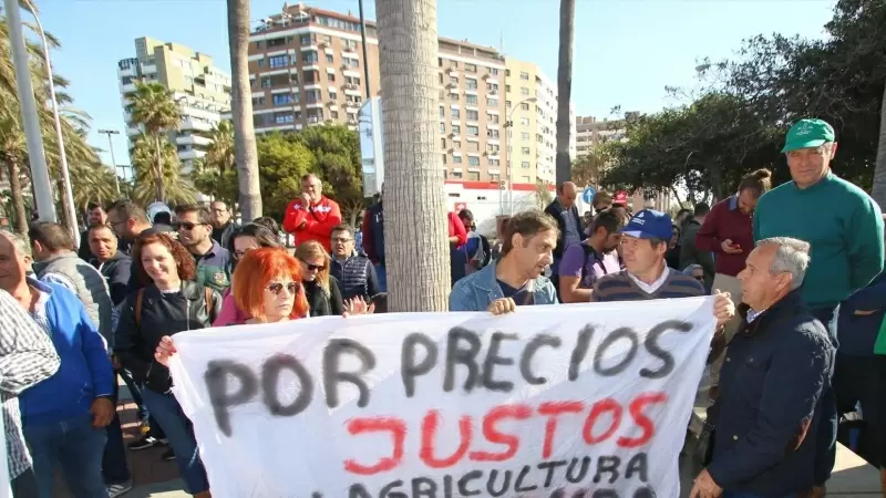 Agricultores de la Unión de Agricultores Independientes con pancartas manifestándose en Almería a 26 de febrero de 2023.