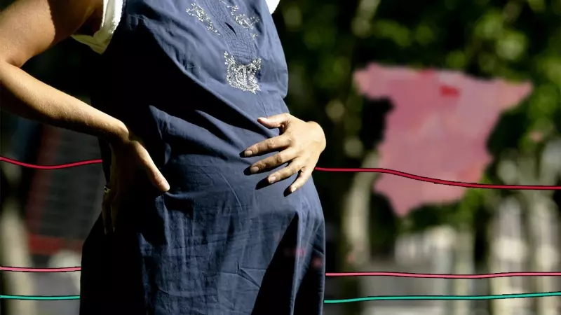 Montaje con una imagen de una mujer embarazada y los datos recogidos por 'Público'.