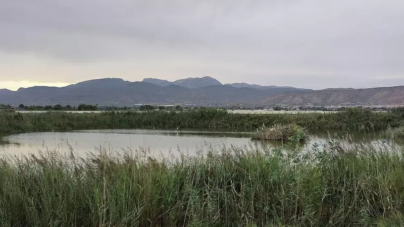 Los Saladares de Guadalentín, una de las Zonas Especiales de Conservación dentro de España cuyas aguas están más afectadas por la presencia de contaminantes persistentes como pesticidas y PFAs, según un estudio de IDAEA-CSIC.