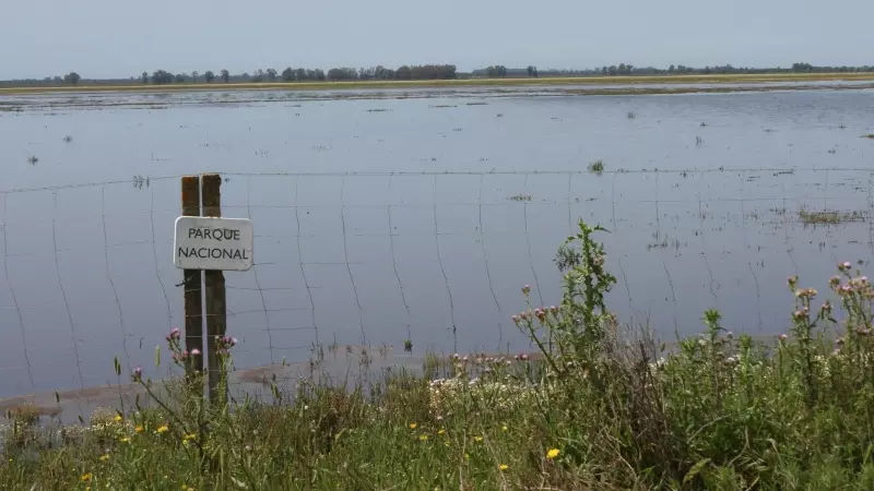 El Parque Nacional de Doñana aumenta el agua de su humedal, pero este continúa en riesgo de secarse.