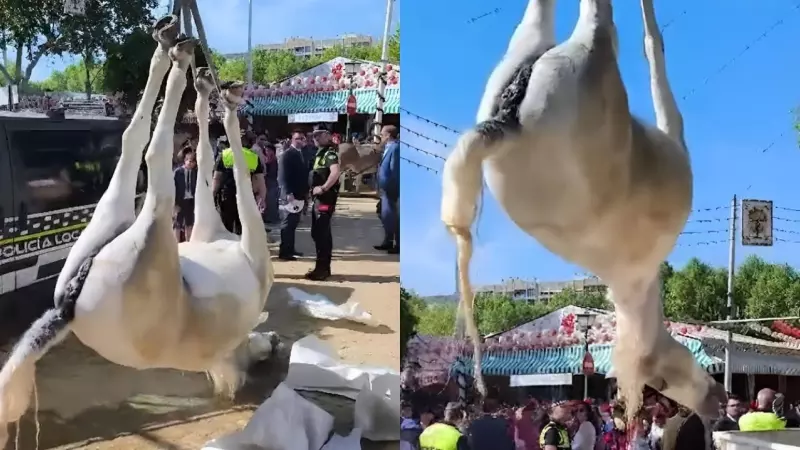 Recogen el cuerpo de la yegua fallecida durante la inauguración de la Feria de Abril en Sevilla, a 14 de abril de 2024.