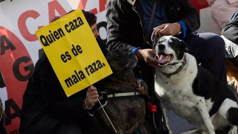 Imagen de archivo de dos perros durante la manifestación No a La Caza 2024, en la Plaza de Callao, en Madrid.