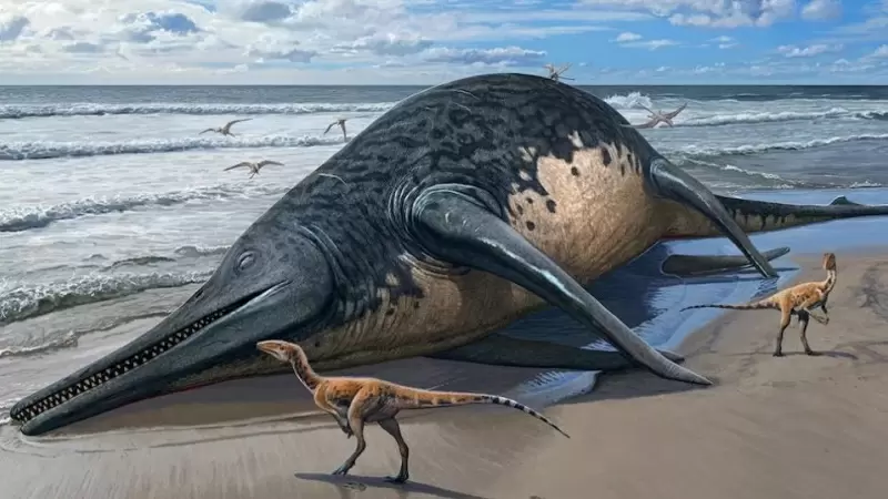 Recreación del Ichthyotitan severnensis, el reptil marino gigante encontrado en una playa británica.