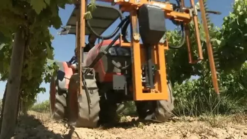 Freixenet anuncia un ERTE que afectará a 615 trabajadores