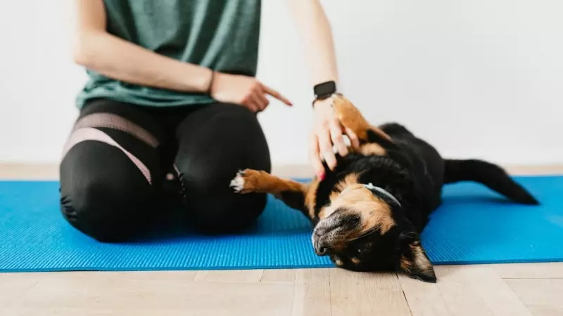 'Puppy' yoga: en qué consiste este polémico ejercicio