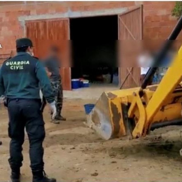 Fotografía facilitada por la Guardia Civil, que ha localizado a un grupo de personas realizando la matanza de un cerdo sin justificación./EFE