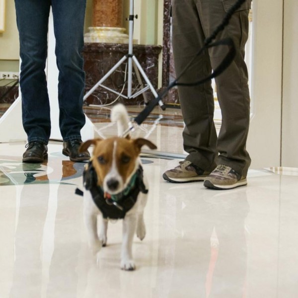 (8/5/2022) Zelenski y Trudeau con el perro durante la ceremonia.