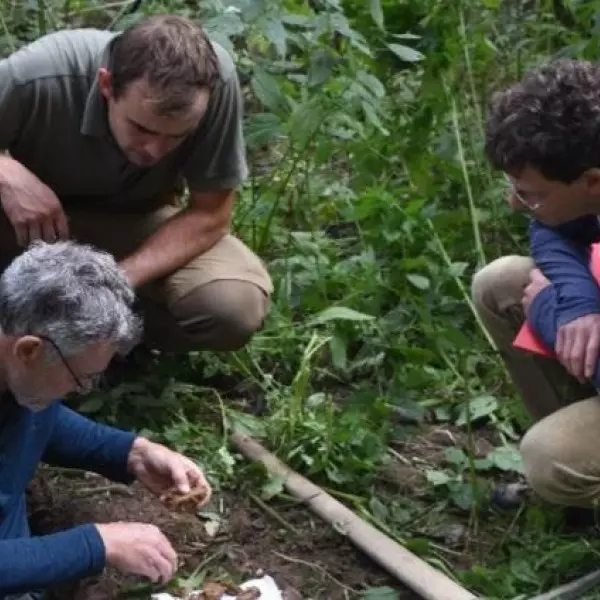 El equipo de investigación realiza trabajo de campo en uno de los bosques analizados.