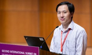 El científico chino He Jiankui habla en la Segunda Cumbre Internacional sobre la Edición del Genoma Humano en Hong Kong en noviembre de 2018  |  AFP