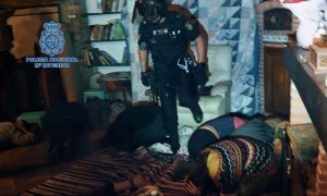 Un vacío legal bajo la macroperación policial contra la "secta" de la ayahuasca de Tuilla