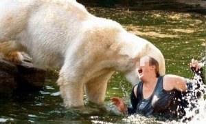 Fotograma en el que aparece la mujer siendo atacada por un oso polar (www.Bild.de)