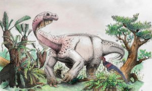 Recontrucción artística de Ledumahadi mafube. Otro dinosaurio sudafricano, Heterodontosaurus tucki, lo observa / Viktor Radermacher