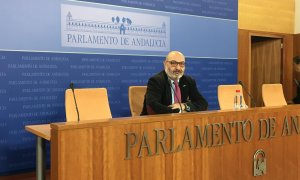 Alejandro Hernández, portavoz de Vox en el Parlamento de Andalucía. Europa Press