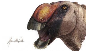 Reconstrucción del aspecto en vida de Aquilarhinus. / ICRA Art -Institut Català de Paleontologia Miquel Crusafont