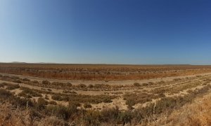 Terreno sobre el que se construirá macroproyecto,situado junto al río Guadalquivir y frente a Doñana | Ecologistas en Acción