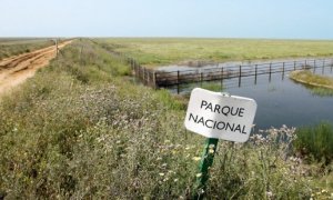 Foto de archivo del Parque Nacional de Doñana. EFE/Eduardo Abad