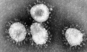Principia Marsupia - ¿Se ha cerrado la ventana de oportunidad para contener el coronavirus?