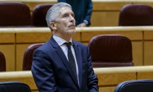 El ministro del Interior, Fernando Grande-Marlaska en la sesión de Control al Gobierno en el Senado / EUROPA PRESS/R.Rubio