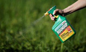 Envases del herbicida Roundup, de Monsanto, que contiene glifosato. REUTERS/Benoit Tessier