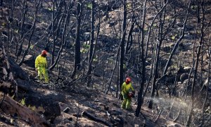 Dos treballadors en les tasques de restauració de la zona de l’incendi de la Ribera d’Ebre l'any 2019. Jordi Marsal | ACN