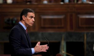 El presidente del Gobierno, Pedro Sánchez, durante su intervención en el pleno del Congreso. - EFE