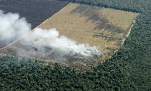 Vista aérea de la deforestación de la Amazonia