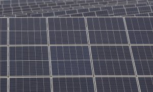 Paneles solares de la planta Andévalo de Iberdrola, primer proyecto fotovoltaico de la compañía en Andalucía, ubicado en Puebla de Guzmán (Huelva). E.P./María José López