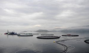 Vista general de varias piscifactorías de salmón ubicadas en el mar de Noruega.