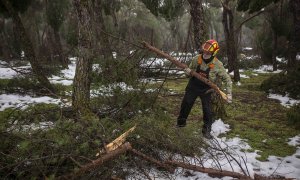 Richi, un jardinero municipal de la Casa de Campo, carga con una de las ramas caídas tras el temporal Filomena.