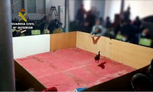 La Guardia Civil disuelve una pelea de gallos ilegal con cerca de 90 personas