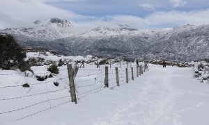 La Sierra de Madrid, cubierta por nieve tras la nevada fruto del temporal Filomena por la Comunidad de Madrid (España), a 10 de enero de 2021.