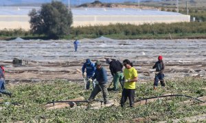Invernaderos en Nijar (Almería) afectados por el temporal Gloria, en enero de 2020. E.P./Rafael González