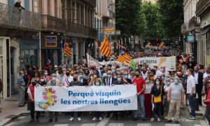Pla general de la manifestació a Perpinyà per demanar que no es canviï la llei que protegeix el català a França.